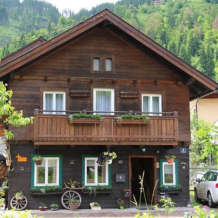 Peterlhaus Villa Kleinarl Bagian luar foto