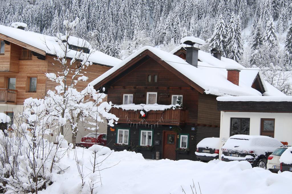 Peterlhaus Villa Kleinarl Bagian luar foto