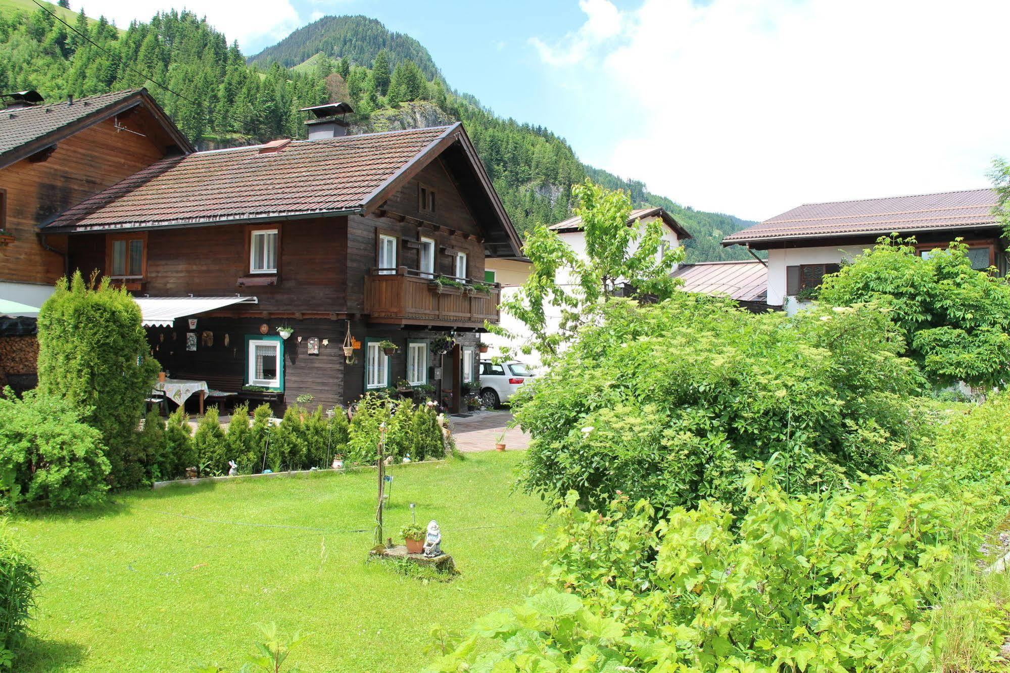 Peterlhaus Villa Kleinarl Bagian luar foto